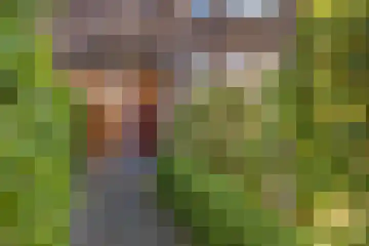Coendersweg 56 Groningen thumbnail 6