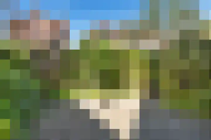Coendersweg 56 Groningen thumbnail 8