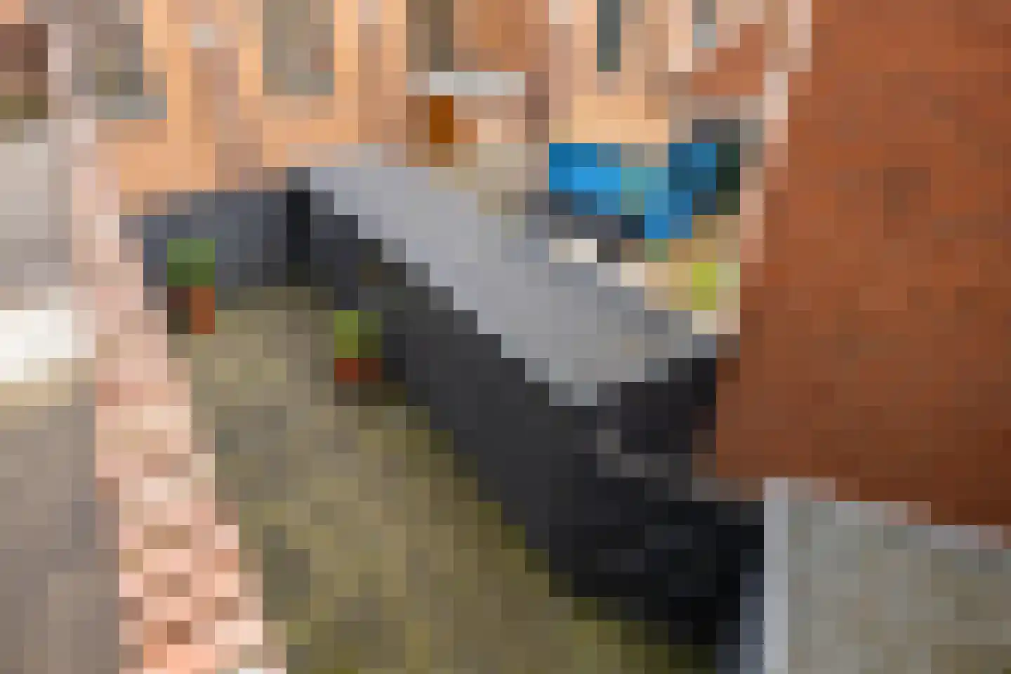 Coendersweg 60 a Groningen thumbnail 14
