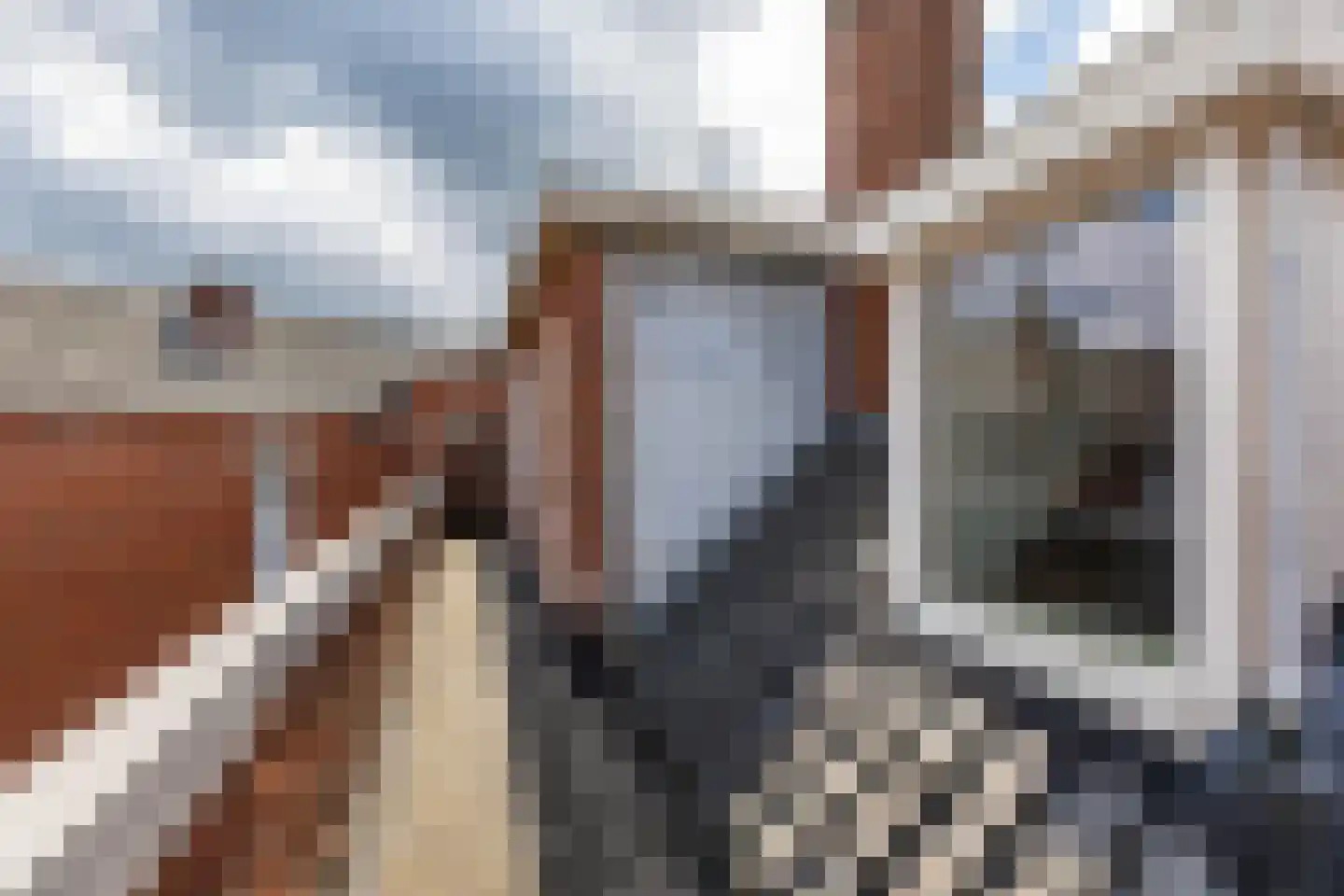 Coendersweg 60 a Groningen thumbnail 37