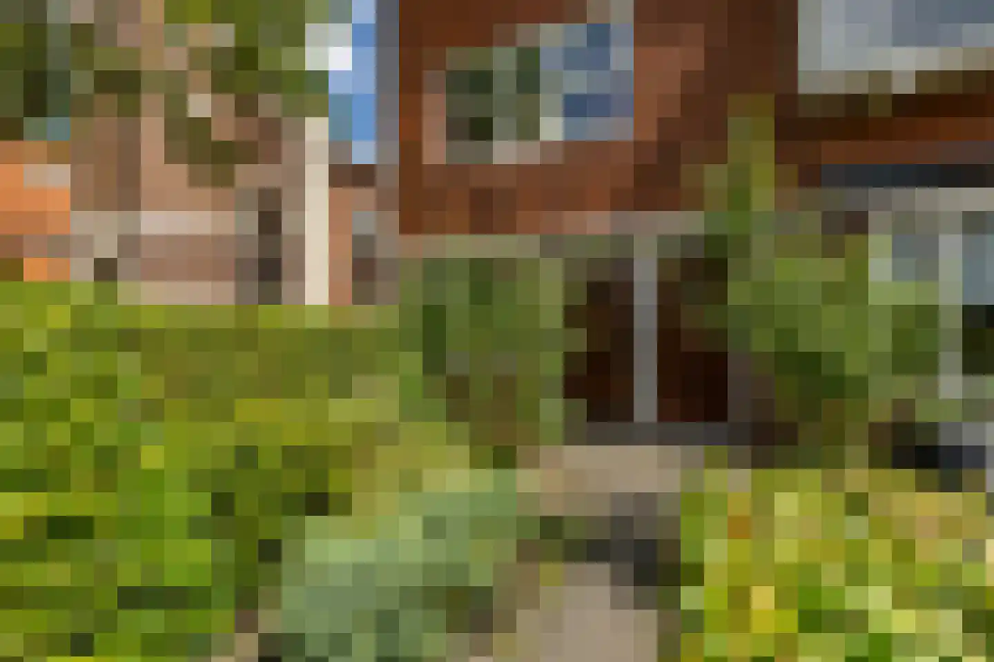 Coendersweg 60 a Groningen thumbnail 4