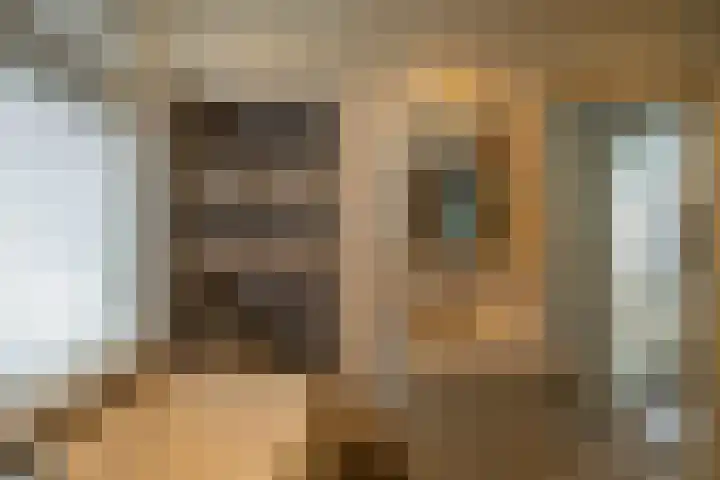 Coendersweg 69 Groningen thumbnail 20