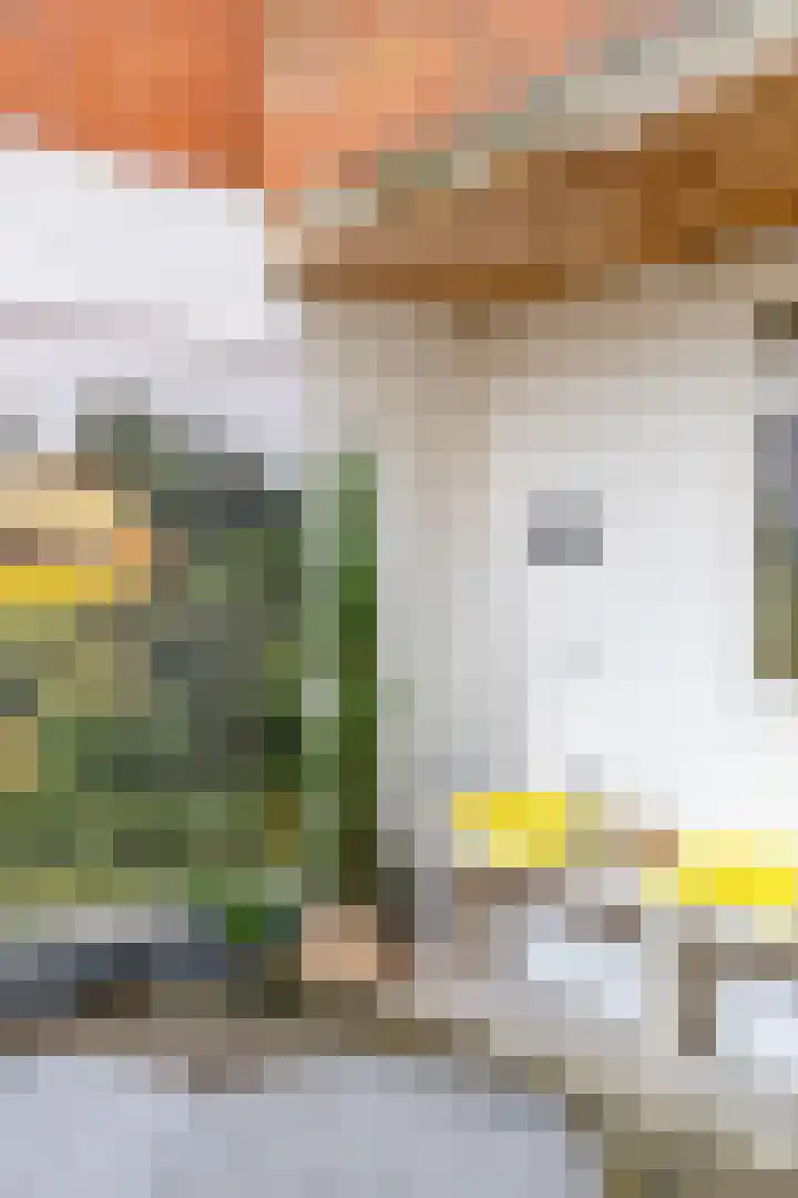 Coendersweg 69 Groningen thumbnail 25