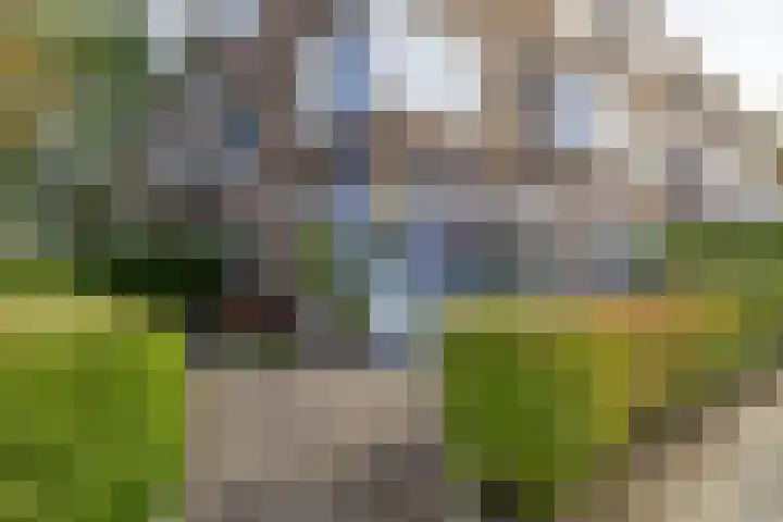 Coendersweg 69 Groningen thumbnail 26