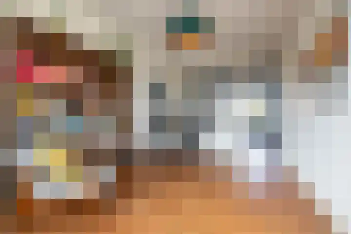 Coendersweg 73 Groningen thumbnail 14
