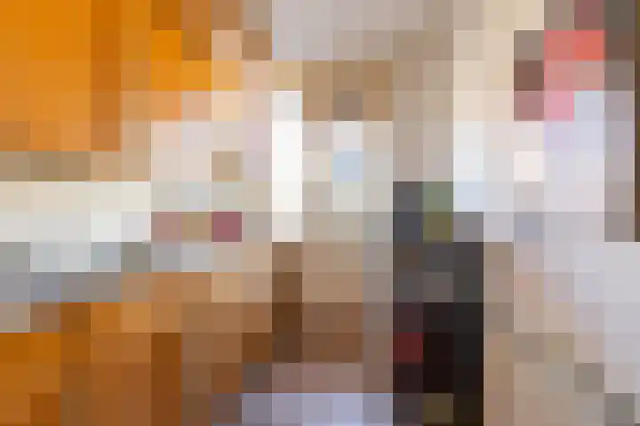 Coendersweg 73 Groningen thumbnail 16