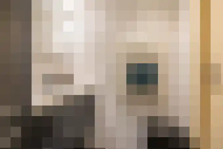 Coendersweg 73 Groningen thumbnail 31