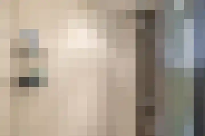 Coendersweg 73 Groningen thumbnail 33