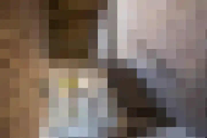 Coendersweg 73 Groningen thumbnail 5