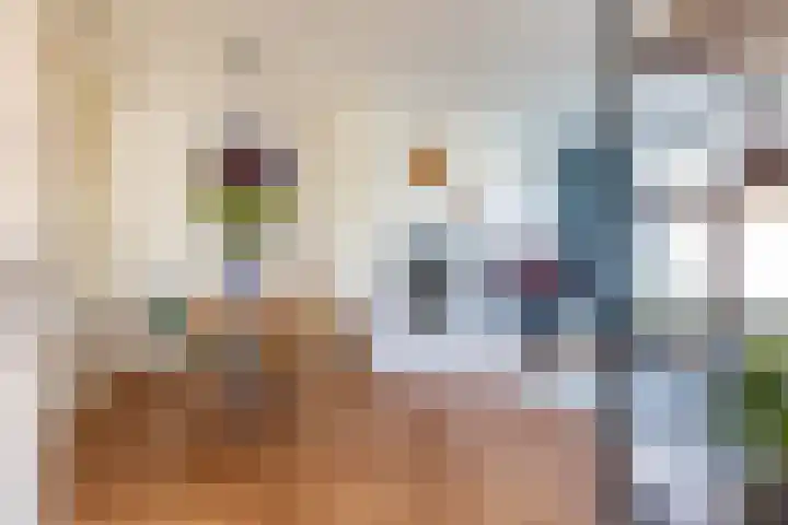 Coendersweg 73 Groningen thumbnail 7