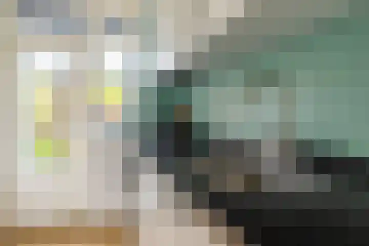 Coendersweg 8 Groningen thumbnail 15