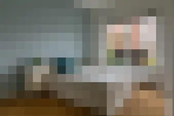 Coendersweg 8 Groningen thumbnail 17