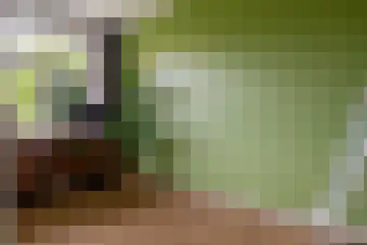 Coendersweg 8 Groningen thumbnail 19