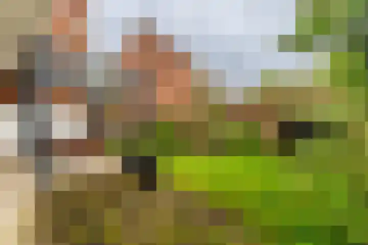 Coendersweg 8 Groningen thumbnail 22