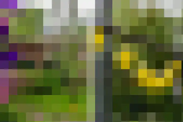 Coendersweg 8 Groningen thumbnail 24