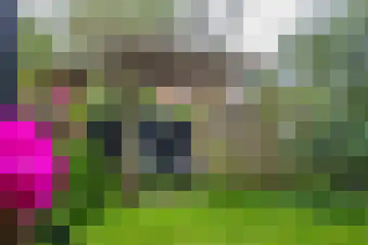 Coendersweg 8 Groningen thumbnail 25
