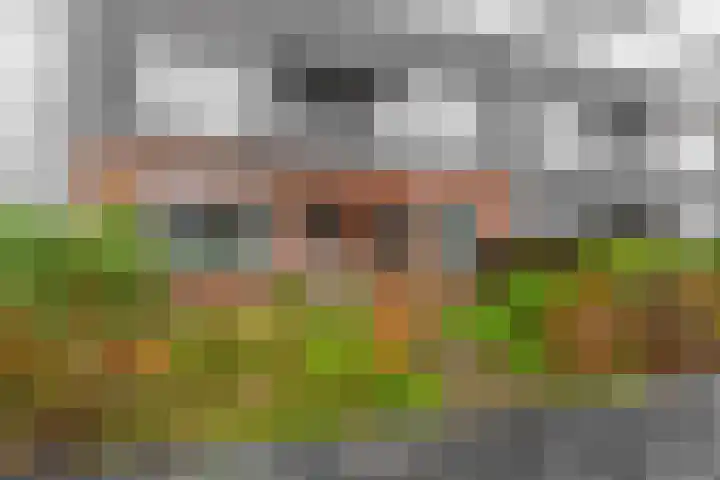 Coendersweg 8 Groningen thumbnail 4
