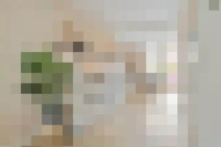 Coendersweg 86 Groningen thumbnail 18