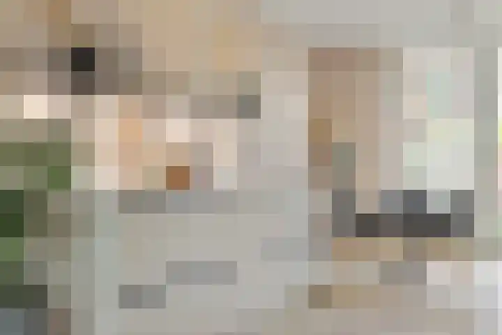 Coendersweg 86 Groningen thumbnail 19
