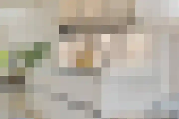 Coendersweg 86 Groningen thumbnail 20