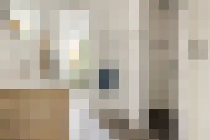 Coendersweg 86 Groningen thumbnail 27