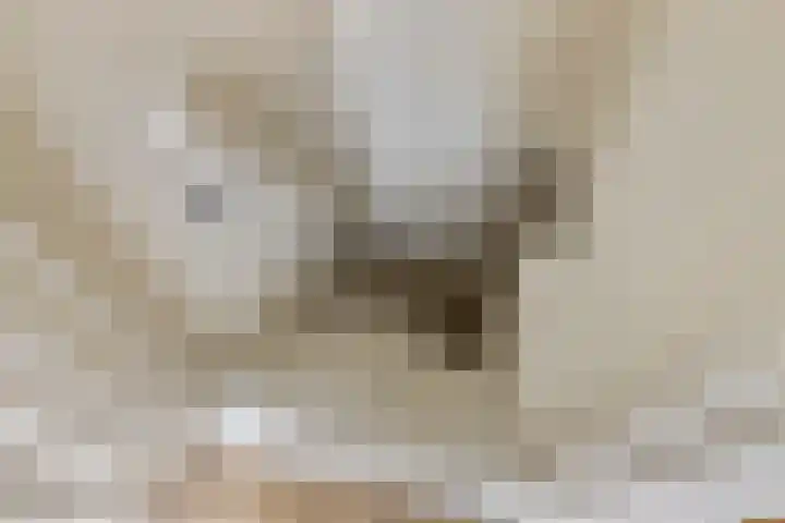 Coendersweg 86 Groningen thumbnail 30