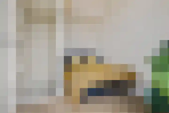Coendersweg 86 Groningen thumbnail 31