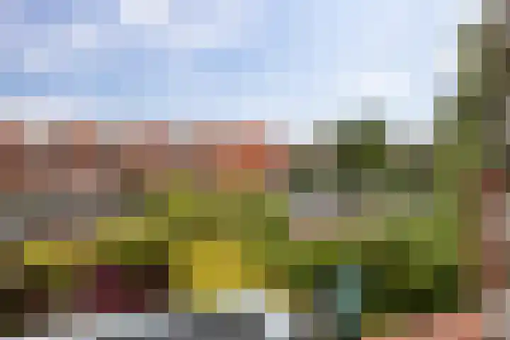 Coendersweg 86 Groningen thumbnail 32