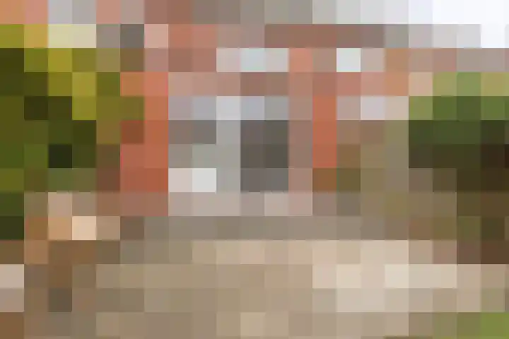 Coendersweg 86 Groningen thumbnail 34