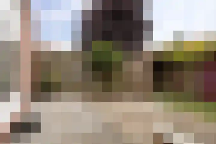 Coendersweg 86 Groningen thumbnail 35