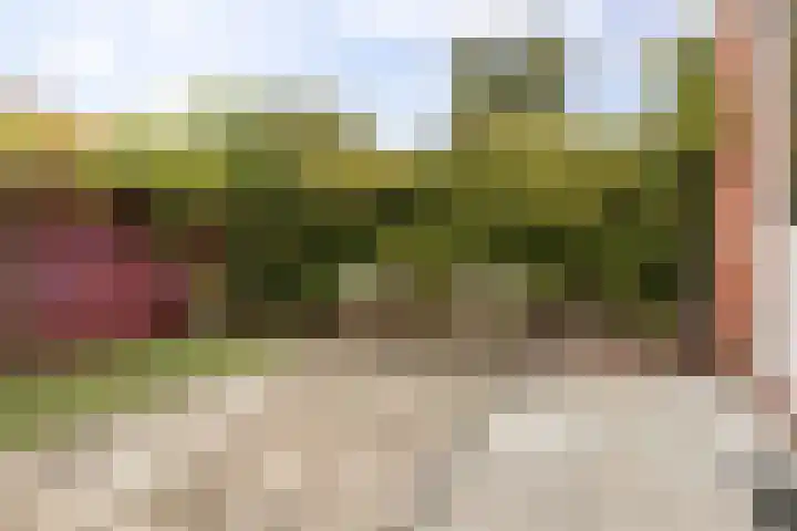 Coendersweg 86 Groningen thumbnail 36