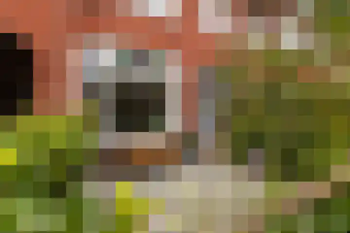 Coendersweg 86 Groningen thumbnail 5