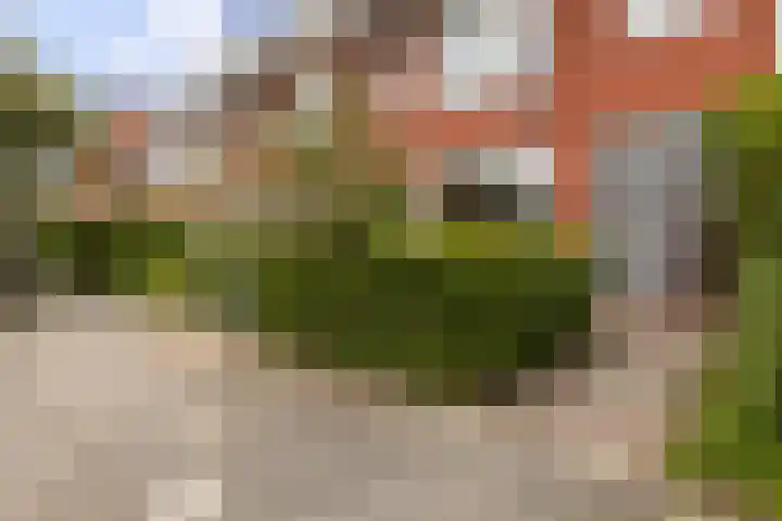 Coendersweg 86 Groningen thumbnail 7