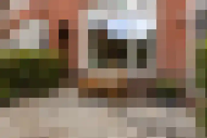 Coendersweg 86 Groningen thumbnail 8