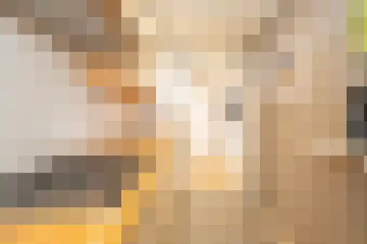 Coendersweg 87 Groningen thumbnail 13
