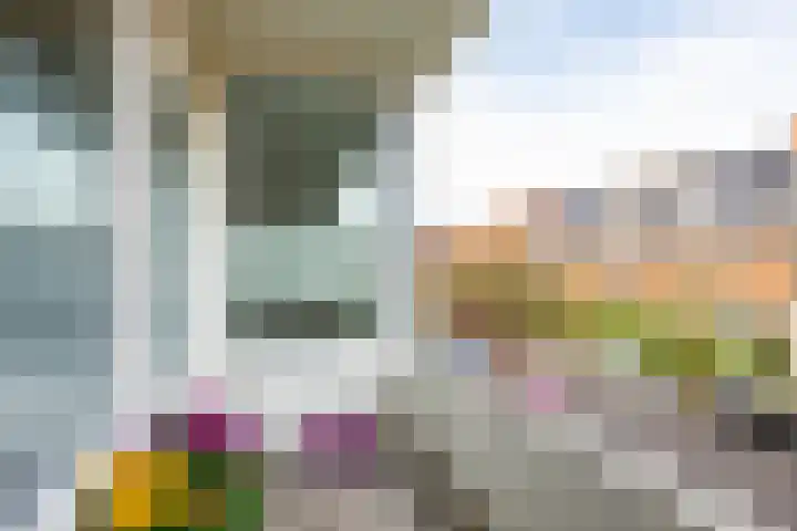 Coendersweg 87 Groningen thumbnail 24