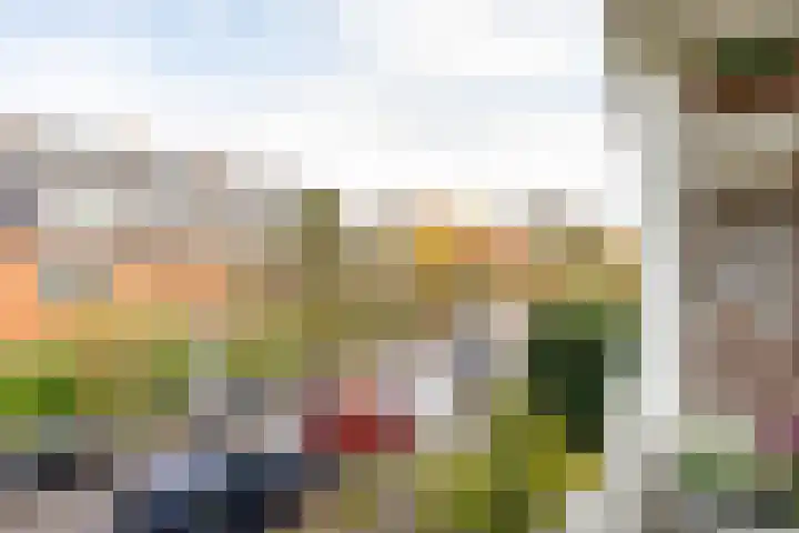 Coendersweg 87 Groningen thumbnail 25