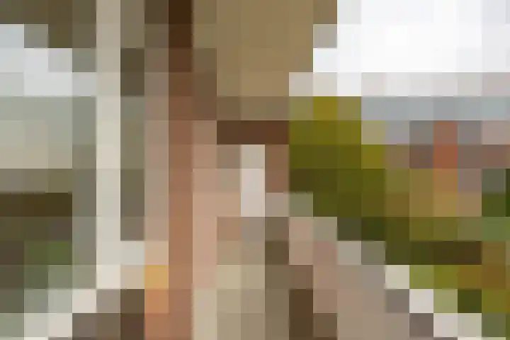 Coendersweg 87 Groningen thumbnail 30