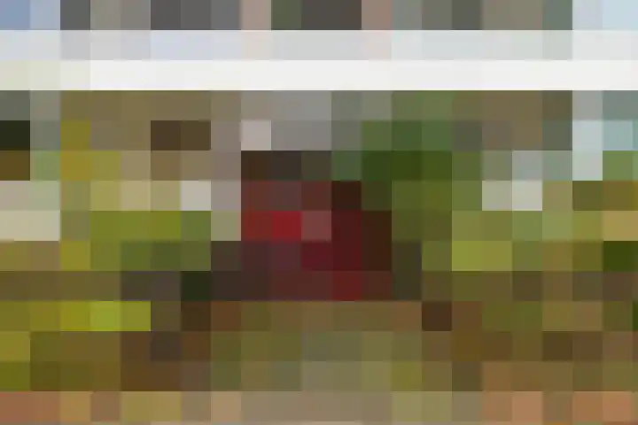 Coendersweg 87 Groningen thumbnail 35