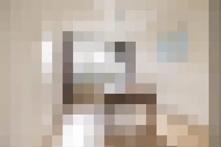 Coendersweg 87 Groningen thumbnail 8