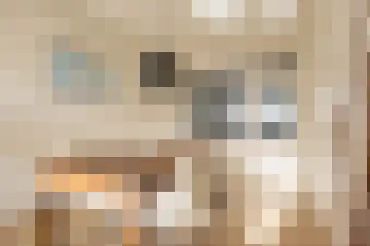 Coendersweg 87 Groningen thumbnail 9