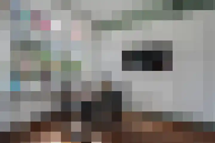 Coendersweg 94 a Groningen thumbnail 15