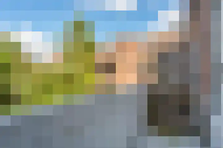 Coendersweg 94 a Groningen thumbnail 22