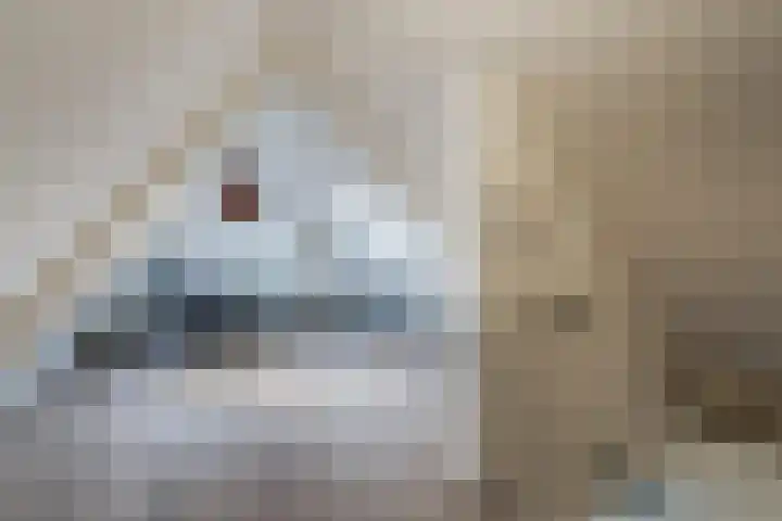 Coendersweg 94 a Groningen thumbnail 32