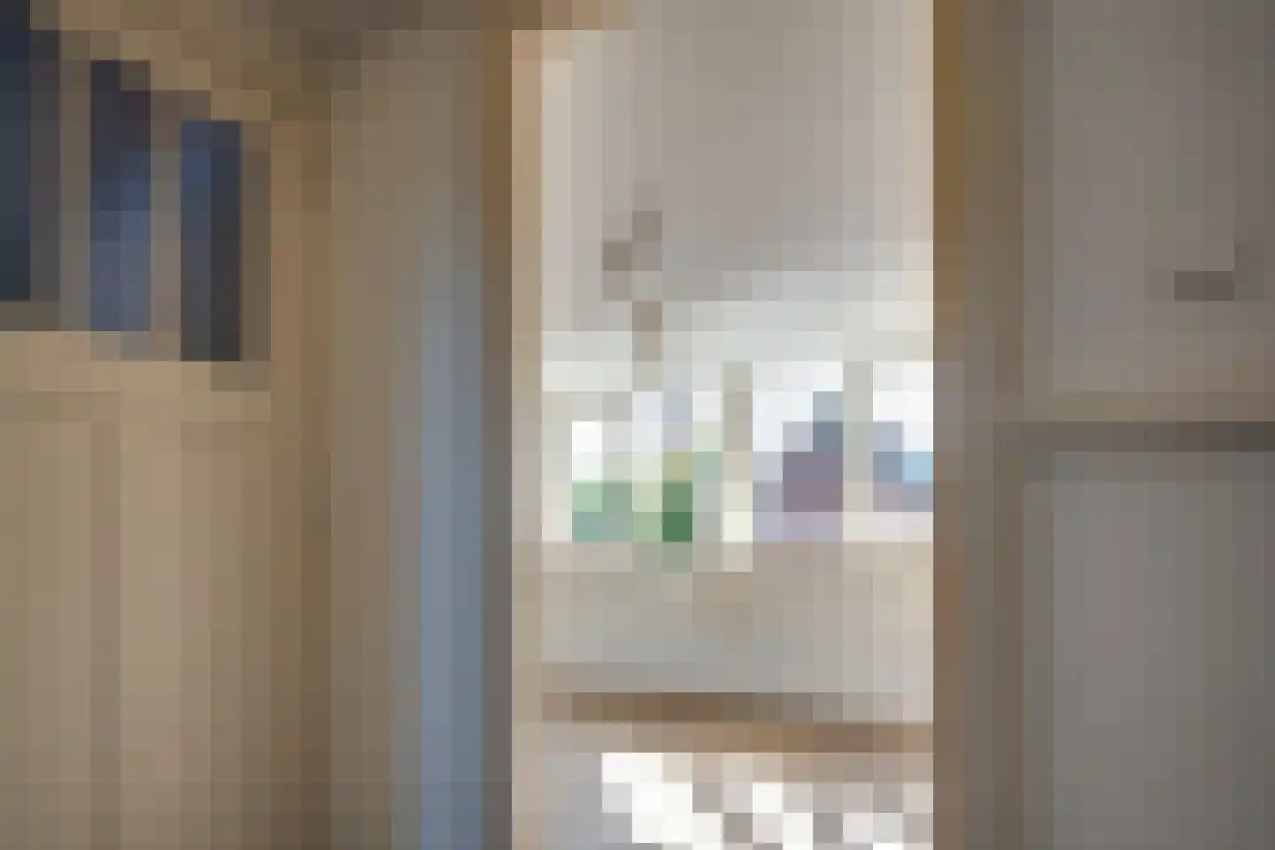 Coendersweg 96 a Groningen thumbnail 19