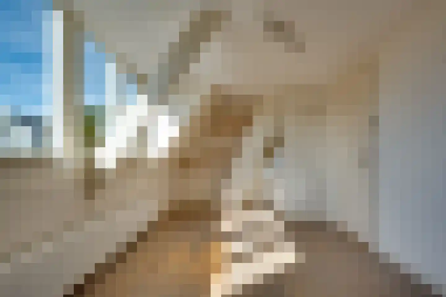 Coendersweg 96 a Groningen thumbnail 21
