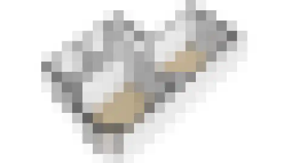 Coendersweg 96 a Groningen thumbnail 34