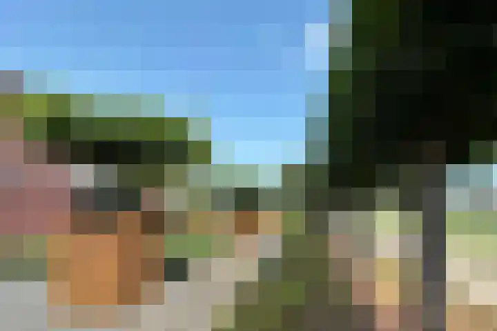Coenecoop 146 Waddinxveen thumbnail 10