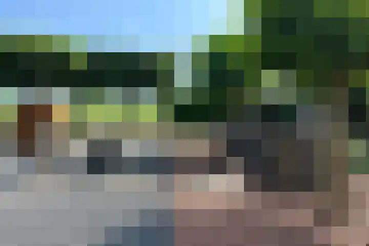 Coenecoop 146 Waddinxveen thumbnail 12