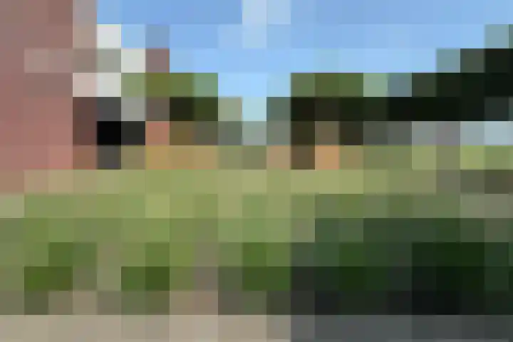 Coenecoop 146 Waddinxveen thumbnail 13